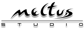 meltus Studio Logo